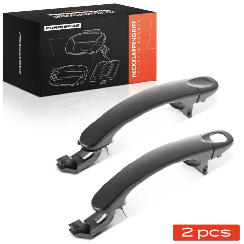 Türgriff, Innenausstattung vorne Frankberg 5481FB0068289 Bild Türgriff, Innenausstattung vorne Frankberg 5481FB0068289