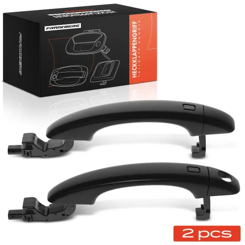 Türaußengriff vorne Frankberg 5481FB0068300 Bild Türaußengriff vorne Frankberg 5481FB0068300