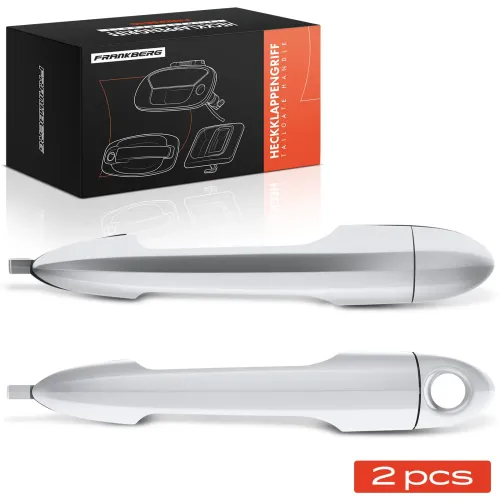 Türaußengriff vorne Frankberg 5481FB0068318 Bild Türaußengriff vorne Frankberg 5481FB0068318