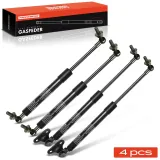 Gasfeder, Koffer-/Laderaum vorne und hinten Frankberg 5481FB0068615