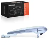 Türaußengriff Frankberg 5481FB0072018