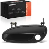 Türaußengriff Frankberg 5481FB0072081