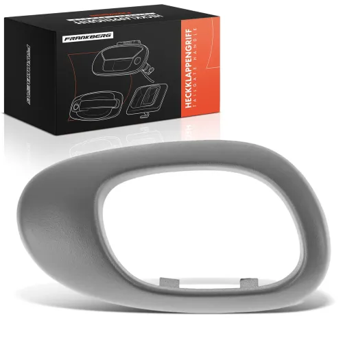 Türgriff, Innenausstattung Frankberg 5481FB0072289 Bild Türgriff, Innenausstattung Frankberg 5481FB0072289