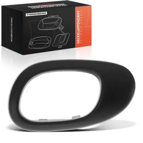 Türgriff, Innenausstattung Frankberg 5481FB0072292 Bild Türgriff, Innenausstattung Frankberg 5481FB0072292