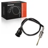 Sensor, Abgastemperatur Frankberg 5481FB0072431