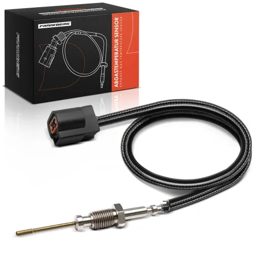 Kraftstoffpumpe Frankberg 5481FB0013125 Bild Kraftstoffpumpe Frankberg 5481FB0013125