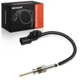 Sensor, Abgastemperatur Frankberg 5481FB0072472