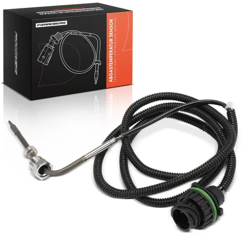 Kraftstoffpumpe Frankberg 5481FB0013125 Bild Kraftstoffpumpe Frankberg 5481FB0013125