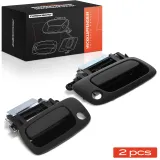 Türaußengriff Frankberg 5481FB0073851