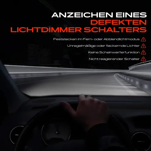 Schalter, Hauptlicht Frankberg 5481FB0074381 Bild Schalter, Hauptlicht Frankberg 5481FB0074381