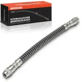 Bremsschlauch Frankberg 5481FB0075174