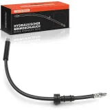 Bremsschlauch Frankberg 5481FB0075199