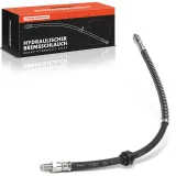 Bremsschlauch Frankberg 5481FB0075239