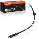 Bremsschlauch Frankberg 5481FB0075243