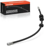 Bremsschlauch Frankberg 5481FB0075576