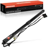 Gasfeder, Koffer-/Laderaum Frankberg 5481FB0076863