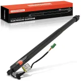 Gasfeder, Koffer-/Laderaum Frankberg 5481FB0076984
