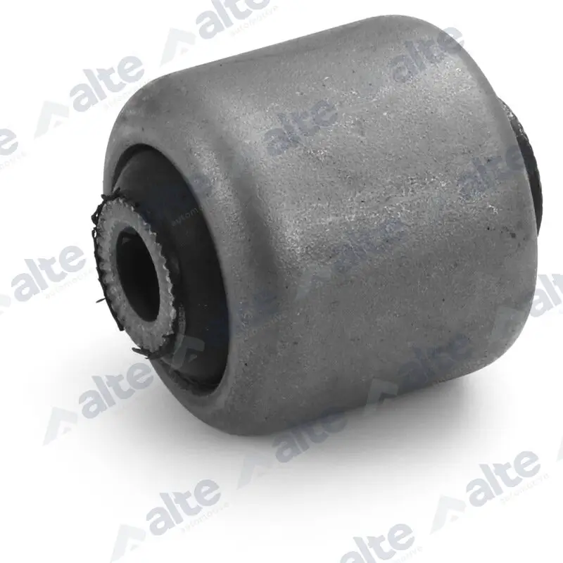 Lagerung, Lenker Vorderachse beidseitig unten innen ALTE AUTOMOTIVE 80891AL