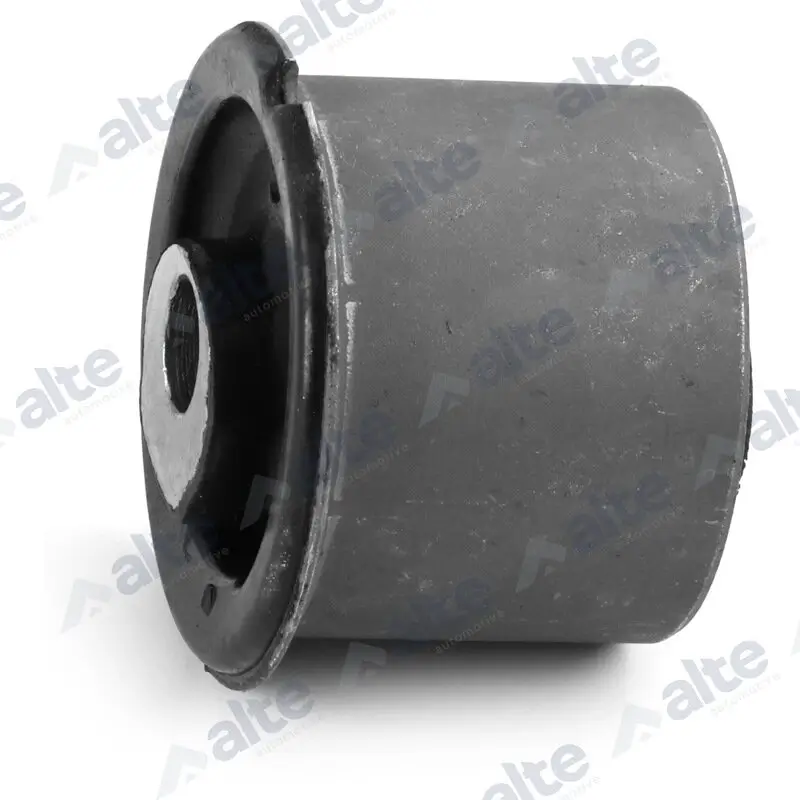 Lagerung, Lenker Vorderachse beidseitig unten hinten ALTE AUTOMOTIVE 84983AL