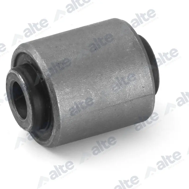 Lagerung, Lenker Hinterachse unten ALTE AUTOMOTIVE 85098AL