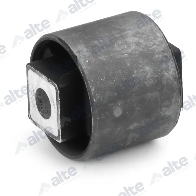 Lagerung, Lenker Hinterachse unten vorne ALTE AUTOMOTIVE 85099AL