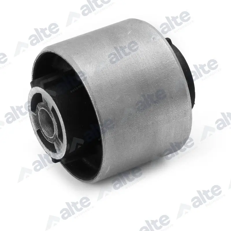 Lagerung, Lenker Hinterachse unten vorne ALTE AUTOMOTIVE 91631AL