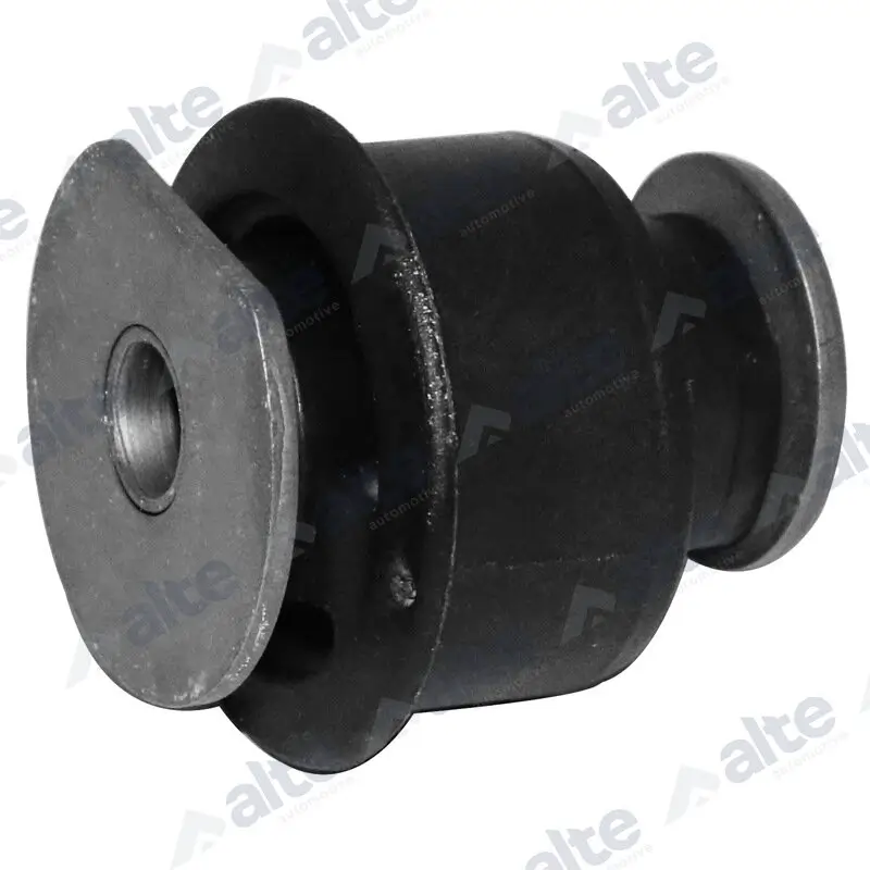 Lagerung, Lenker Hinterachse beidseitig unten hinten ALTE AUTOMOTIVE 91651AL