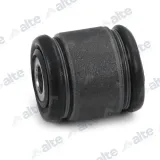 Lagerung, Lenker Hinterachse unten vorne ALTE AUTOMOTIVE 91672AL