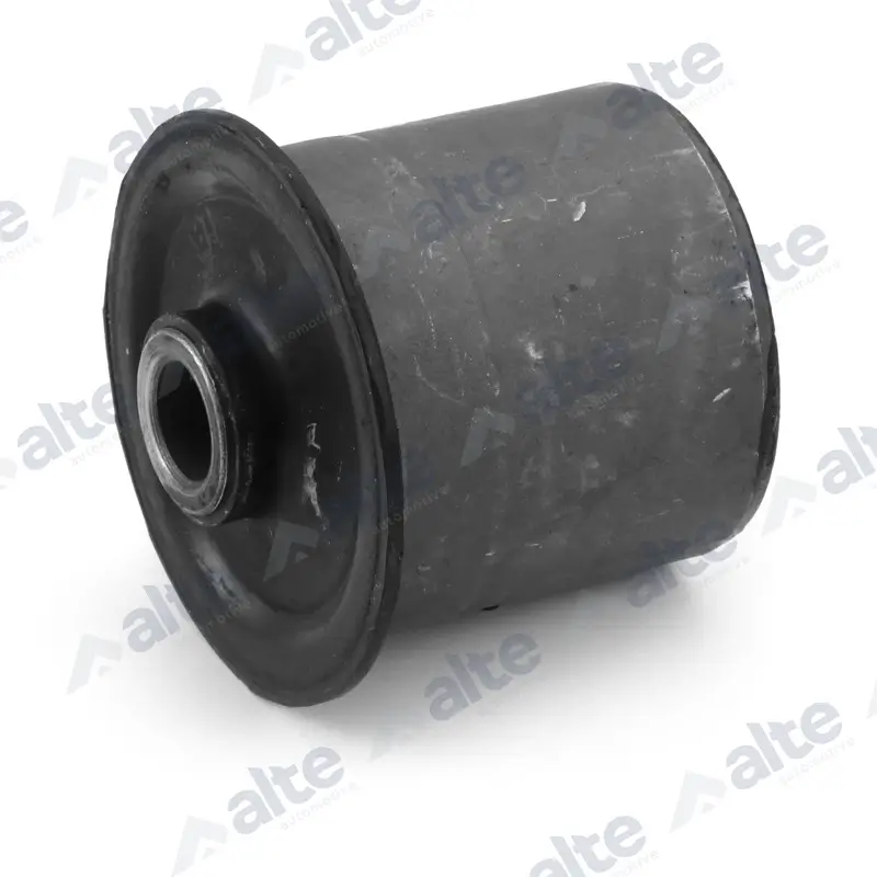 Lagerung, Lenker Hinterachse beidseitig unten ALTE AUTOMOTIVE 95194AL