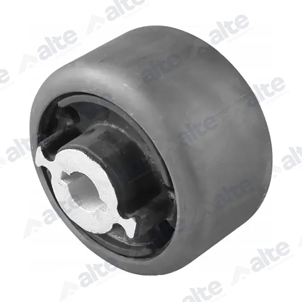 Lagerung, Lenker Vorderachse beidseitig unten hinten ALTE AUTOMOTIVE 100350AL