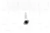 Abgasrohr hinten NAP carPARTS CAC10659 Bild Abgasrohr hinten NAP carPARTS CAC10659