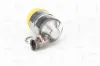 Ruß-/Partikelfilter, Abgasanlage NAP carPARTS CAD10044 Bild Ruß-/Partikelfilter, Abgasanlage NAP carPARTS CAD10044