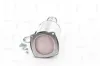 Ruß-/Partikelfilter, Abgasanlage NAP carPARTS CAD10067 Bild Ruß-/Partikelfilter, Abgasanlage NAP carPARTS CAD10067