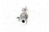 Ruß-/Partikelfilter, Abgasanlage NAP carPARTS CAD10080 Bild Ruß-/Partikelfilter, Abgasanlage NAP carPARTS CAD10080