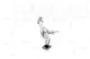 Katalysator NAP carPARTS CAD10572 Bild Katalysator NAP carPARTS CAD10572