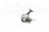 Ruß-/Partikelfilter, Abgasanlage NAP carPARTS CAD10621 Bild Ruß-/Partikelfilter, Abgasanlage NAP carPARTS CAD10621
