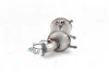 Ruß-/Partikelfilter, Abgasanlage NAP carPARTS CAD10767 Bild Ruß-/Partikelfilter, Abgasanlage NAP carPARTS CAD10767