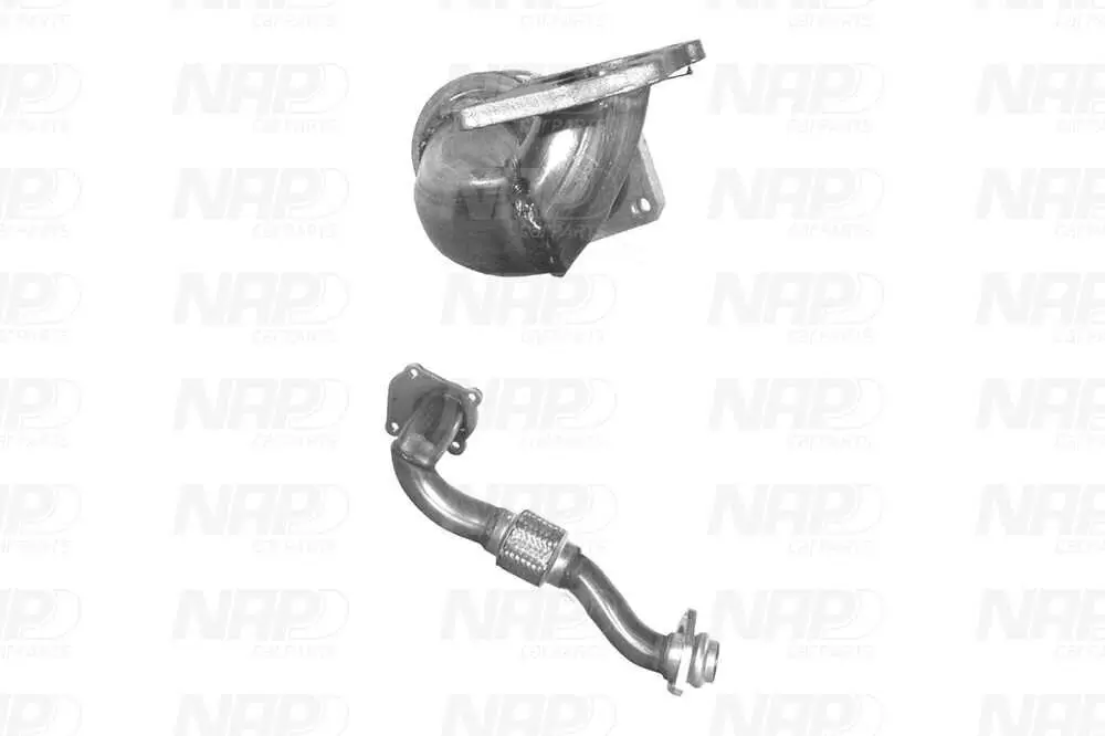 Abgasrohr vorne NAP carPARTS CAF10557