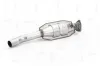 Katalysator NAP carPARTS CAK10049 Bild Katalysator NAP carPARTS CAK10049