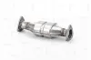 Katalysator hinten NAP carPARTS CAK10189 Bild Katalysator hinten NAP carPARTS CAK10189