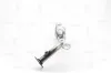 Katalysator NAP carPARTS CAK10245 Bild Katalysator NAP carPARTS CAK10245