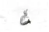 Katalysator NAP carPARTS CAK10252 Bild Katalysator NAP carPARTS CAK10252