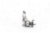 Katalysator NAP carPARTS CAK10253 Bild Katalysator NAP carPARTS CAK10253