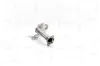 Katalysator NAP carPARTS CAK10527 Bild Katalysator NAP carPARTS CAK10527
