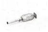 Katalysator hinten NAP carPARTS CAK10765 Bild Katalysator hinten NAP carPARTS CAK10765