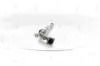 Katalysator NAP carPARTS CAK10913 Bild Katalysator NAP carPARTS CAK10913