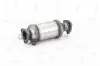 Katalysator NAP carPARTS CAK10950 Bild Katalysator NAP carPARTS CAK10950