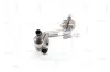 Katalysator rechts NAP carPARTS CAK11016 Bild Katalysator rechts NAP carPARTS CAK11016
