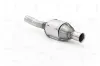 Katalysator NAP carPARTS CAK11061 Bild Katalysator NAP carPARTS CAK11061