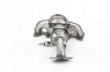 Katalysator vorne NAP carPARTS CAK11365 Bild Katalysator vorne NAP carPARTS CAK11365